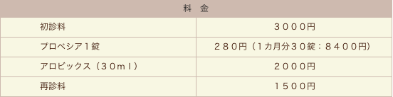 料金表